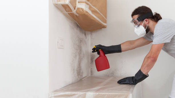 Professional Attic Mold Remediation technician working in Columbus, TX